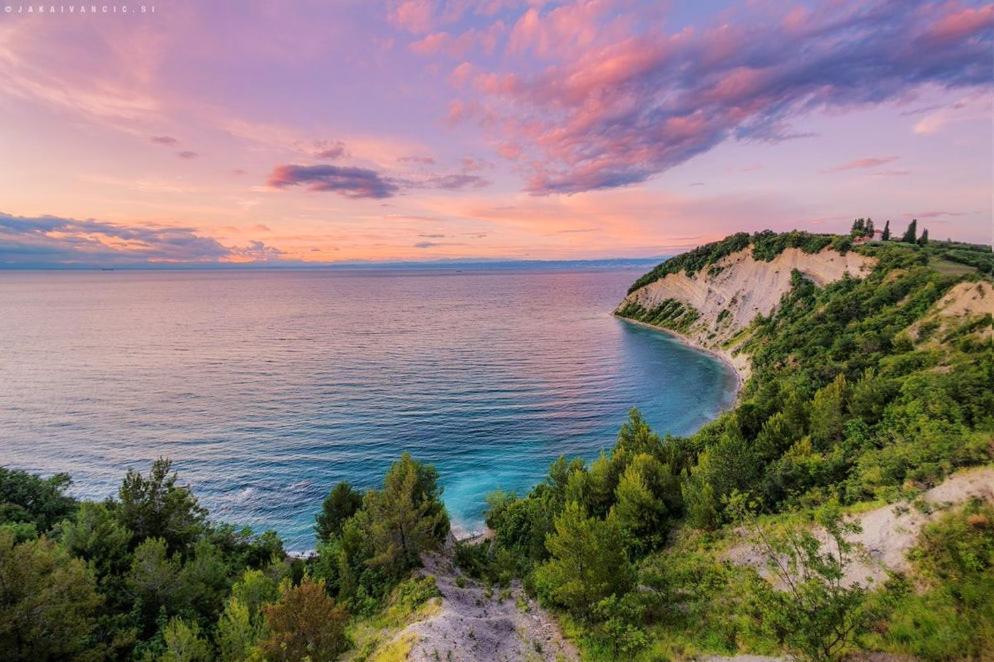 Vila Skolka Studio Portorož Eksteriør bilde